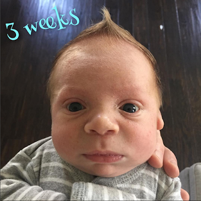 baby mohawk